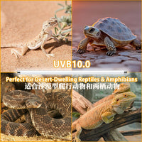 Reptile UVB T5/T8 Fluorescent Lamp for Lizards, Snakes, and Tortoises