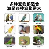 Automatic Bird Feeder for Parrots with Husk Separation and Anti-Splash Design