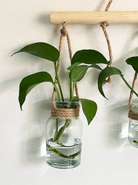 Nordic Ins Style Hemp Rope Conch Glass Hydroponic Vase Wall Decor