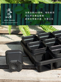 Thickened Square Plastic Succulent Planter with 15-Cell Drip Tray for Seedling Propagation