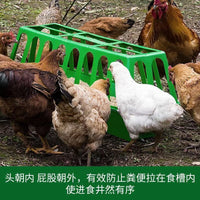 Automatic Poultry Feeder with Anti-Scatter Design for Chickens Ducks Geese