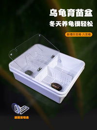 Turtle Hatchling Isolation Box with Lid and Feces Separation Plate