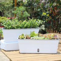 Self-Watering Rectangular Planter for Succulents & Vegetables, Breathable Lightweight Indoor/Outdoor Herb Garden Pot