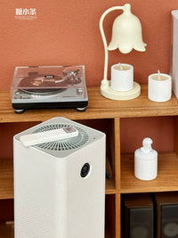 Miniature Dollhouse Furniture and Appliances for BJD/OB Dolls - Air Conditioner, Air Purifier, Pinecone Lamp, Robot Vacuum