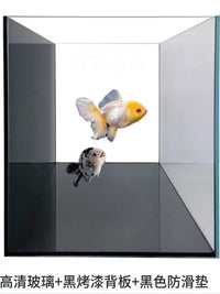 Black-Backed Desktop Aquarium Fish Tank for Home and Office