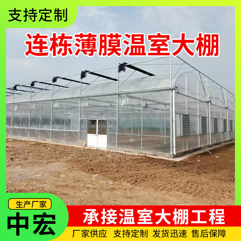 Multi-Span Film Greenhouse for All-Season Plant Cultivation and Flower Seedling