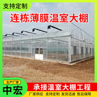 Multi-Span Film Greenhouse for All-Season Plant Cultivation and Flower Seedling