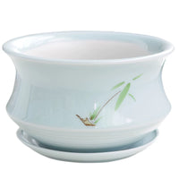 Celadon Ceramic Orchid Planter with Saucer for Succulents and Green Plants