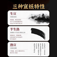 Thickened Xuan Paper for Chinese Painting and Calligraphy Practice - Raw, Half-Raw, Half-Ripe, Ripe Options