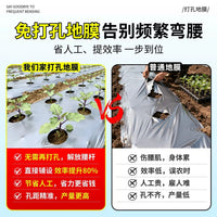 Perforated Silver-Black Agricultural Mulch Film for Planting, Weed Control, Thermal Insulation, and Moisture Retention