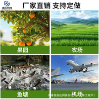 Orchard and Garden Anti-Bird Netting for Crop Protection and Poultry Enclosures