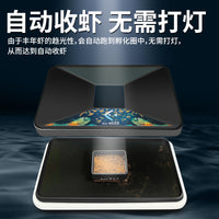 Brine Shrimp Eggs Hatching Box Artemia Hatchery Tray Simple Incubator Efficient Collection for Guppy Fry