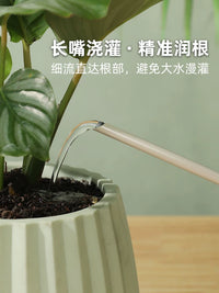 Vintage Iron Long Spout Watering Can for Indoor Outdoor Plants