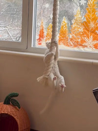 Wall-Mounted Cat Scratching Rope Climbing Post