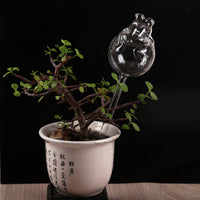 Automatic Gravity Drip Plant Waterer for Indoor/Outdoor Plants