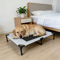 Elevated Breathable Mesh Pet Bed for Cats and Dogs, Detachable Washable, Moisture-Proof, for Medium to Large Pets