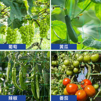 Green Polyethylene Plant Trellis Netting for Climbing Plants, Garden Support Mesh with Locked Edges