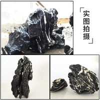 Natural Qinglong Stone for Aquarium Landscaping and Moss Terrariums