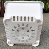 Square Plastic Succulent Planter Pots for Seedling and Desktop Green Plants