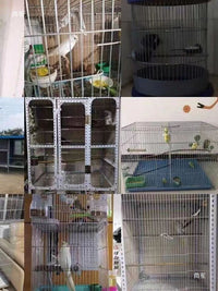 Galvanized Welded Wire Mesh for Cages and Fencing, 1.1cm Mesh, 1.7mm Wire