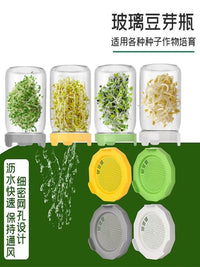 Mason Jar Sprouting Kit for Hydroponic Broccoli Alfalfa Sprouts, Thick Glass Seedling Bottle