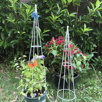 Metal Plant Climbing Trellis for Potted Plants, Rose, Clematis, and Vine Support