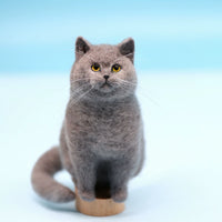 DIY Wool Felt Needle Felting Kit for Realistic Cat Dolls