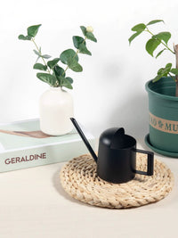 Stainless Steel Mini Watering Can for Indoor Plants, Succulents, and Children - 300ml/450ml
