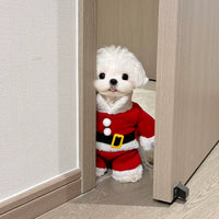 Pet Christmas Santa Claus Costume Set with Hat and Cape for Dogs and Cats