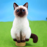 DIY Wool Felt Needle Felting Kit for Realistic Cat Dolls