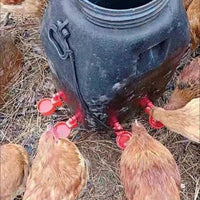 Automatic Poultry Waterer for Chickens Ducks Pigeons, Thickened Large Capacity Drinker Bowl