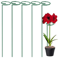 Plant Support Stakes for Potted Flowers, Orchid, Amaryllis - Rust-Resistant Coated Iron Garden Plant Support