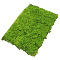 Artificial Moss Mat for Micro Landscape & DIY Decor, 100x100cm