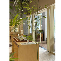 Modern Birch Wood Kitchen Island Bar Table with Tempered Glass Display Cabinet