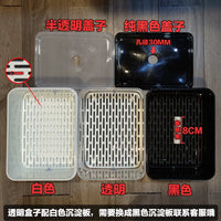 Turtle Breeding Box with Sedimentation Tank for Hatching and Rearing