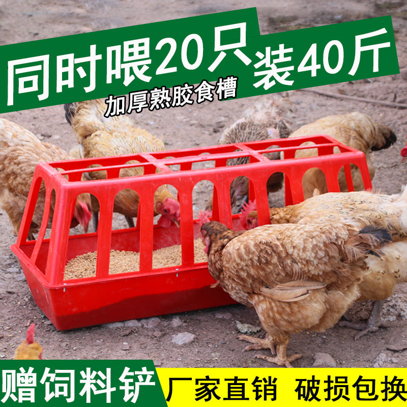 Covered Chicken Feeder Automatic Dispenser Anti-Spill Design for Enhanced Feed Utilization Poultry Farming