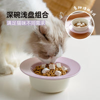 Ceramic Elevated Cat Food Bowl Set for Neck Protection, Anti-Tip Double Pet Feeder for Dry Food, Wet Food, and Snacks
