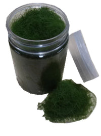 Miniature Landscape Moss Simulation Grass Powder for DIY Sand Table Models and Fish Tank Decor