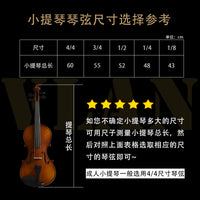 VLAN V502 Violin Strings Set for Beginner to Advanced Players, EADG, Single Strings Available