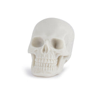 Aquarium Fish Tank Ornament Animal Skull Head Decor for Landscaping and Pet Habitat