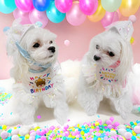 Pet Birthday Party Supplies Set with Hat, Bandana, and Drool Bib for Cats and Dogs
