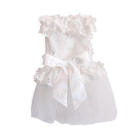Pet Dog Wedding Dress Cat Princess Skirt Puppy Photography Costume Thin Corgi Clothes