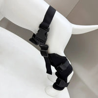 Pet Dog Rear Leg Brace for Knee and Joint Protection, Recovery Support