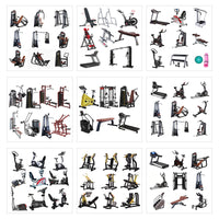 Commercial Gym Leg, Back, and Abdominal Strength Training Equipment