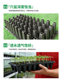Large 72-Cell Seedling Starter Trays for Vegetable and Wheat Sprouts