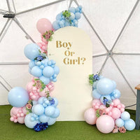 Macaron Balloon Arch Kit for Party Decorations, Weddings, Birthdays, and Events
