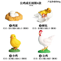 Animal Life Cycle Figurines Educational Toy Set for Kids