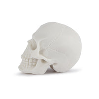 Aquarium Fish Tank Ornament Animal Skull Head Decor for Landscaping and Pet Habitat