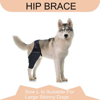 Dog Leg Brace for Injury Recovery and Support
