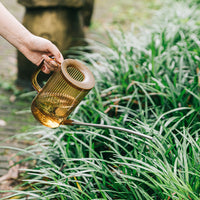 Stainless Steel Long Spout Watering Can for Indoor Outdoor Plants
